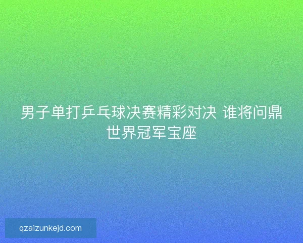 男子单打乒乓球决赛精彩对决 谁将问鼎世界冠军宝座
