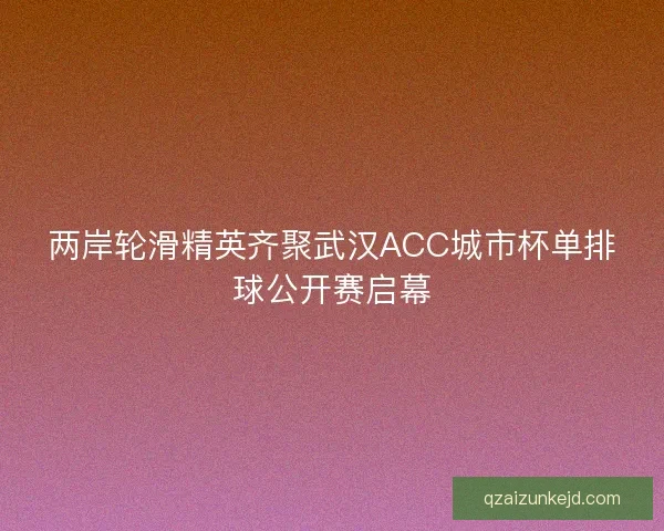 两岸轮滑精英齐聚武汉ACC城市杯单排球公开赛启幕